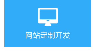 网站定制开发